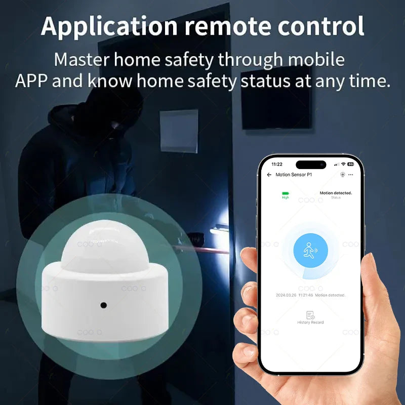 Mini PIR Motion Sensor