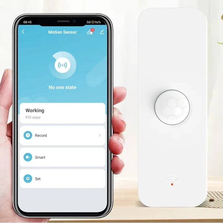 Motion Sensor