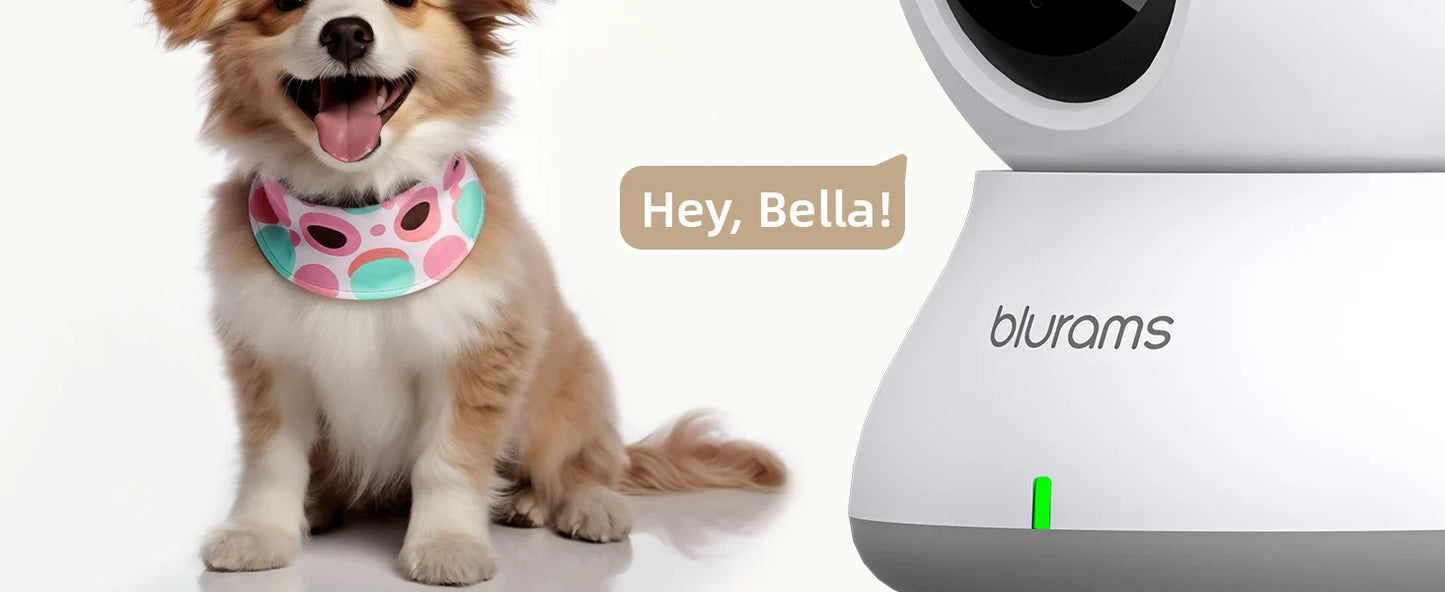 Blurams Baby Monitor Camera 2K HD