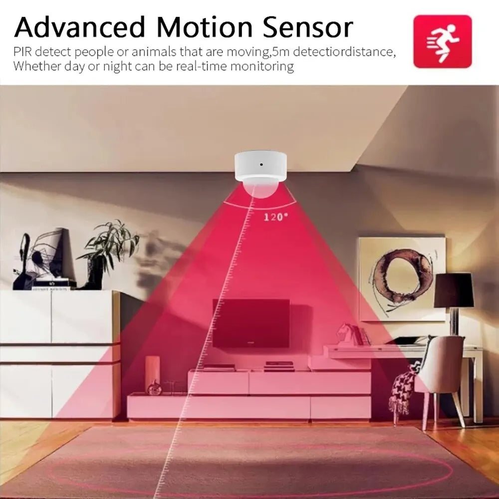 Mini PIR Motion Sensor