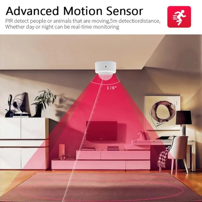 Mini PIR Motion Sensor