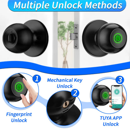 Aluminium Door Lock Smart Fingerprint