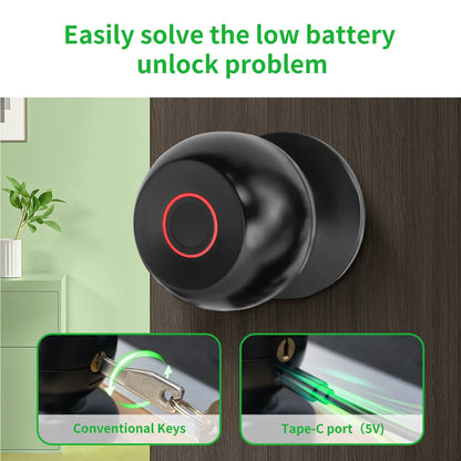 Aluminium Door Lock Smart Fingerprint