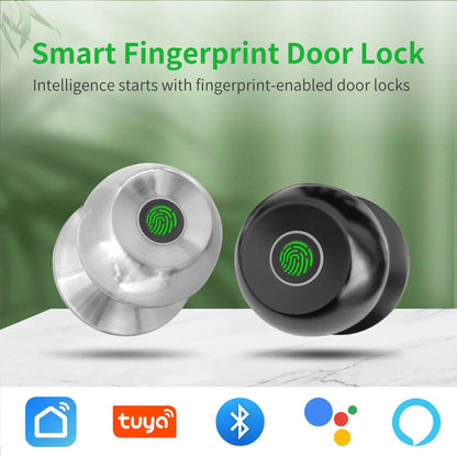 Aluminium Door Lock Smart Fingerprint